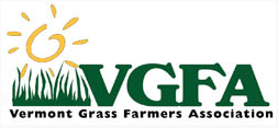 VGFA Logo