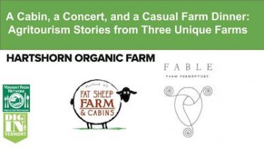 A Cabin a Concert and a Casual Farm Dinner
